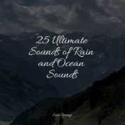 25 Ultimate Sounds of Rain and Ocean Sounds