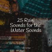 25 Serene Sounds of Rain and Nature for Peace and Calm