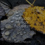 Meditación Musical Relajante