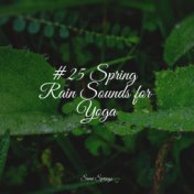 #25 Spring Rain Sounds for Yoga