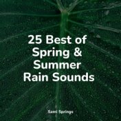 25 Best of Spring & Summer Rain Sounds
