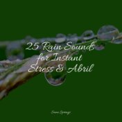 25 Rain Sounds for Instant Stress & Abril