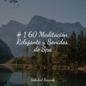 # 1 60 Meditación Relajante y Sonidos de Spa