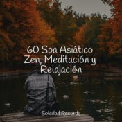 60 Spa Asiático Zen, Meditación y Relajación