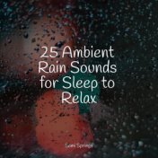 25 Ambient Rain Sounds for Sleep to Relax