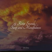 25 Spring & Summer Rain Sounds for Sleep and Meditation