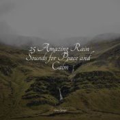25 Amazing Rain Sounds for Peace and Calm