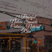 25 Peaceful Nature Sounds - Calming Natural Rain