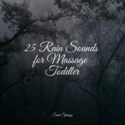 25 Winter Rain and Nature Sounds