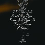 25 Peaceful Soothing Rain Sounds - Rain & Deep Sleep Music