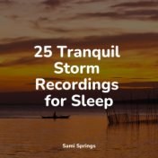 25 Tranquil Storm Recordings for Sleep