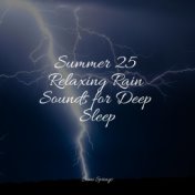 Summer 25 Relaxing Rain Sounds for Deep Sleep