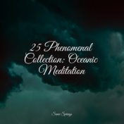 25 Phenomenal Collection: Oceanic Meditation