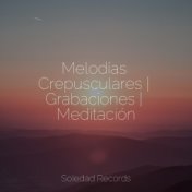 Melodías Crepusculares | Grabaciones | Meditación