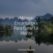 Música Encantadora Para Curar La Mente