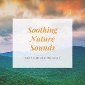 Soothing Nature Sounds -  Drift into Restful Sleep