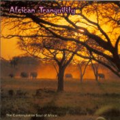 African Tranquility: The Contemplative Soul of Africa