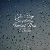 The Sleep Compilation: Ambient Rain Tracks