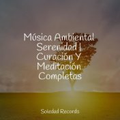 Música Ambiental Serenidad | Curación Y Meditación Completas