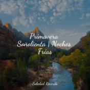 Primavera Soñolienta | Noches Frías