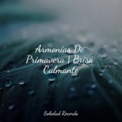 Armonías De Primavera | Brisa Calmante