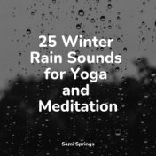 25 Reiki Music - Natural Rain Sounds