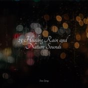 25 Healing Rain and Nature Sounds
