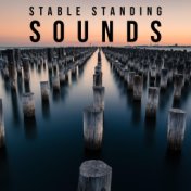 Stable Standing Sounds