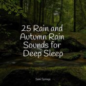 25 Rain and Autumn Rain Sounds for Deep Sleep