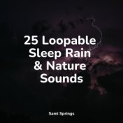 25 Loopable Sleep Rain & Nature Sounds