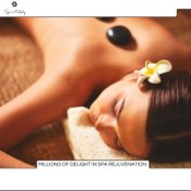 Millions Of Delight In Spa Rejuvenation