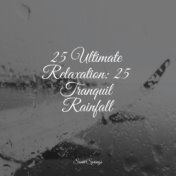 25 Ultimate Relaxation: 25 Tranquil Rainfall