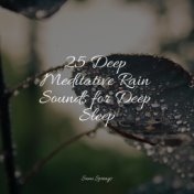 25 Deep Meditative Rain Sounds for Deep Sleep