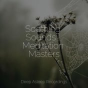 Soothing Sounds | Meditation Masters