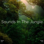 !!!" Sounds In The Jungle "!!!