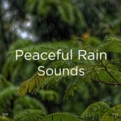 !!" Peaceful Rain Sounds "!!