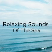 !!!" Relaxing Sounds Of The Sea "!!!