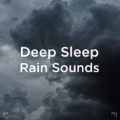 !!" Deep Sleep Rain Sounds "!!