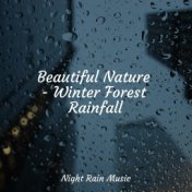 Beautiful Nature - Winter Forest Rainfall