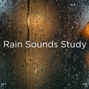 !!" Rain Sounds Study "!!