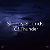 !!!" Sleepy Sounds Of Thunder "!!!