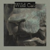 Wild Cat