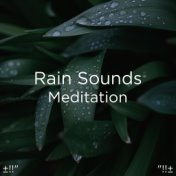 ±!!" Rain Sounds Meditation "!!±