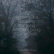 Winter Ultra Relaxing Soothing Ambient Song Collection