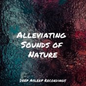 Alleviating Sounds of Nature