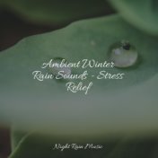 Ambient Winter Rain Sounds - Stress Relief