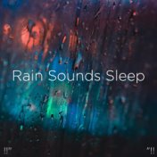 !!" Rain Sounds Sleep "!!