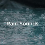 !!" Rain Sounds "!!