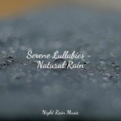 Serene Lullabies - Natural Rain