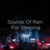 !!!" Sounds Of Rain For Sleeping "!!!